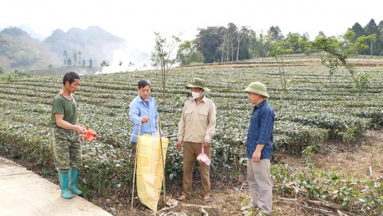 Mường Khương: Thu gom, xử lý vỏ thuốc bảo vệ thực vật bước đầu mang lại hiệu quả
