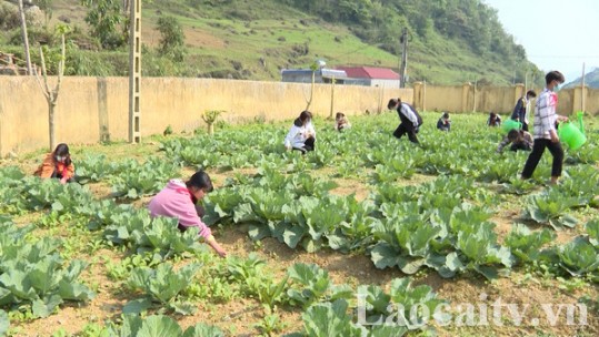 Phân luồng học sinh ở vùng khó khăn