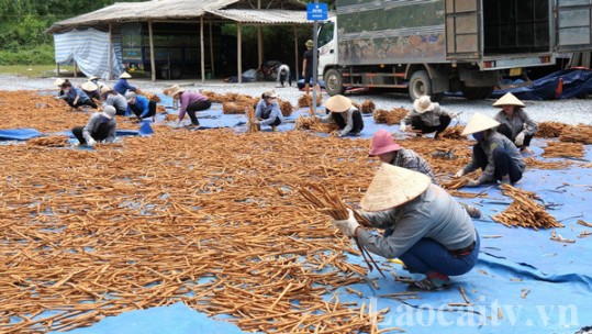 Lào Cai có 125 chuỗi nông sản an toàn