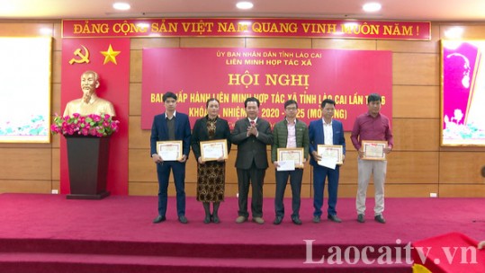 Phát huy vai trò nòng cốt trong phát triển kinh tế tập thể