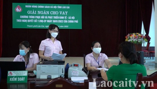 Triển khai các chính sách tín dụng ưu đãi thực hiện Nghị quyết số 11 của Chính phủ