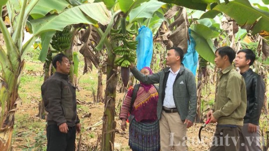Hợp tác xã của nông dân vùng cao
