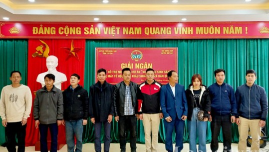 Giải ngân 1 tỷ đồng từ Quỹ hỗ trợ nông dân triển khai dự án “Nuôi trâu sinh sản”