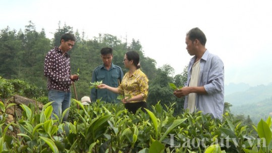 Phát huy vai trò tổ tuyên vận trong triển khai các Chương trình mục tiêu Quốc gia