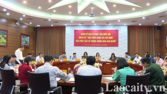 Ủy ban Tư pháp của Quốc hội khảo sát việc chấp hành các quy định về phòng, chống mua bán người
