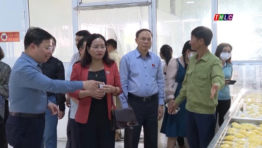 Đoàn công tác Ủy ban Tư pháp của Quốc hội thăm, khảo sát thực tế tại Lào Cai