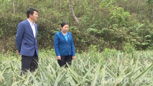 Phát huy vai trò cán bộ Mặt trận trong xây dựng nông thôn mới