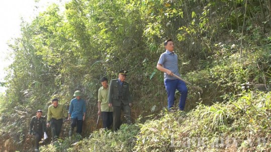 Sa Pa tăng cường bảo vệ, phòng cháy, chữa cháy rừng vùng giáp ranh