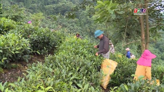 Phát huy vai trò Hội Nông dân trong xây dựng nông thôn mới