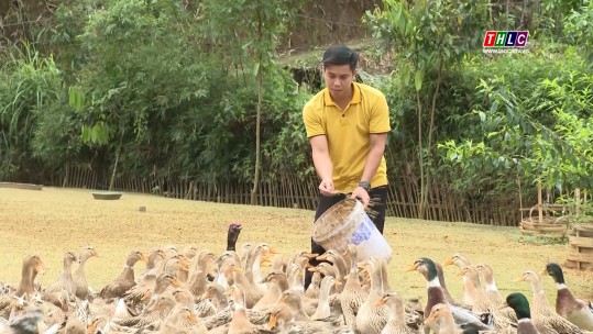 Nông dân hưởng lợi từ dự án “Phát triển chuỗi giá trị vịt bầu Nghĩa Đô”