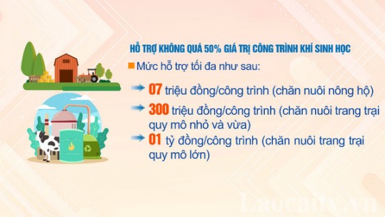 Cơ sở chăn nuôi được hỗ trợ đến 1 tỷ đồng để xử lý chất thải chăn nuôi