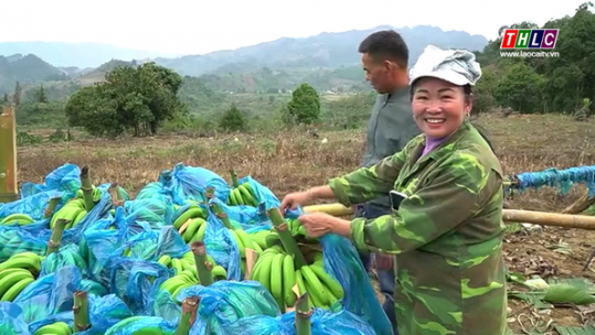 “Trái ngọt” từ Chương trình 1719