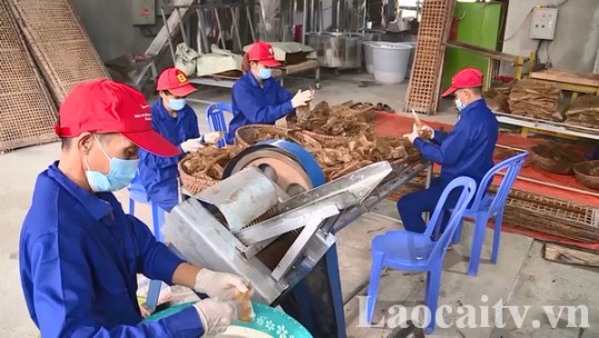 Hơn 4 tỷ đồng hỗ trợ hoạt động khuyến công