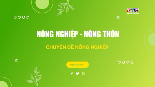 Nông nghiệp - Nông thôn:  Nông nghiệp - Phát triển Nông thôn (29/4/2025)