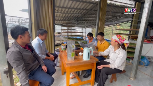 Thời sự Lào Cai 22h00 (04/05/2025)