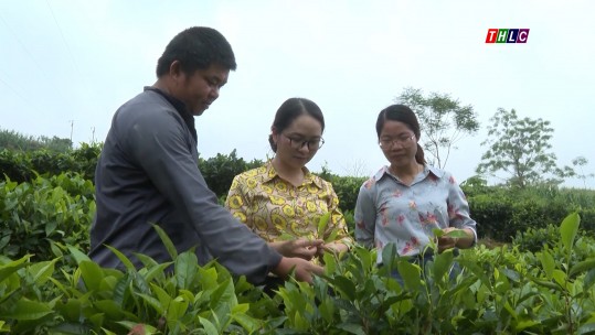 Đảng trong cuộc sống: Công tác dân vận (05/5/2025)