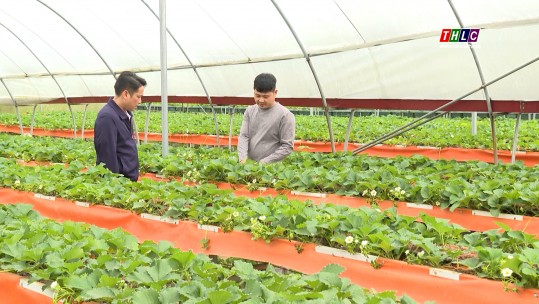 Dân tộc và phát triển: Chuyển đổi số ở vùng cao (06/5/2025)
