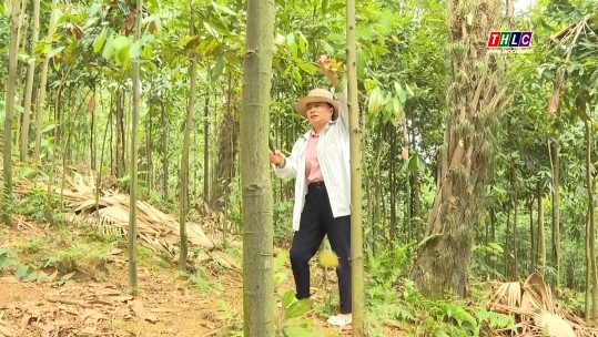 Nữ bí thư đi đầu phát triển kinh tế