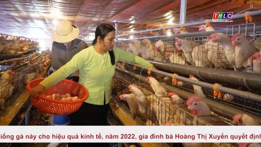 Bản tin tiếng Trung (08/5/2025)