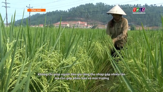 Thời sự (tiếng Dao) (9/5/2025)