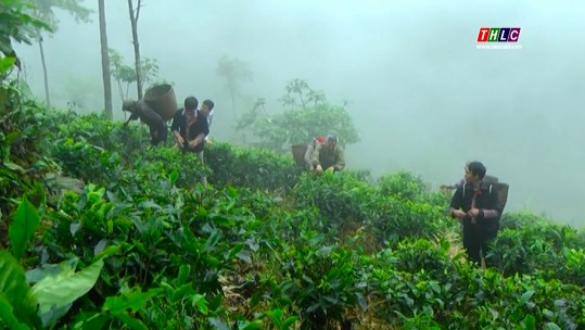 Thời sự Lào Cai 11h30 (9/5/2025)
