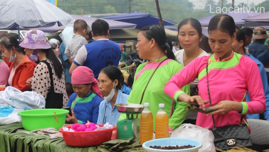 Mở rộng không gian phát triển các xã vùng cao thành phố sau sáp nhập