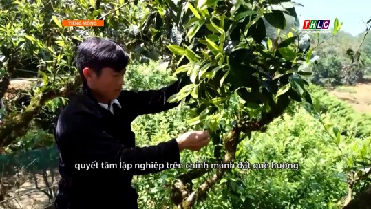 Học và làm theo Bác (tiếng Mông) (11/5/2025)