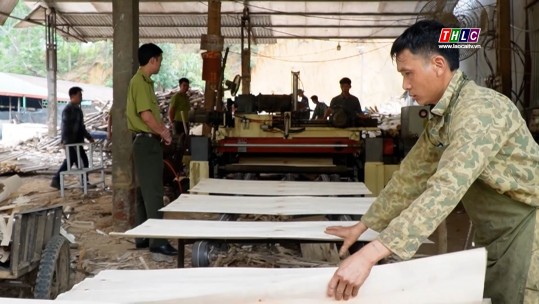 Đổi mới công nghệ chế biến gỗ ở Bảo Yên