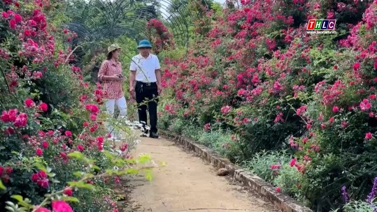 Thời sự Lào Cai 11h30 (11/5/2025)