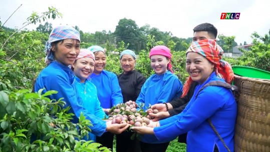 Lào Cai ngày mới (15/5/2025)