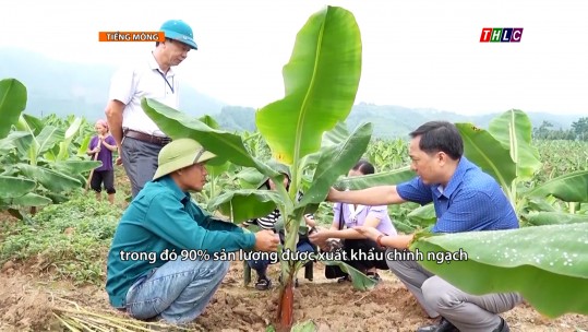 Nông nghiệp - Nông thôn (tiếng Mông) (15/5/2025)