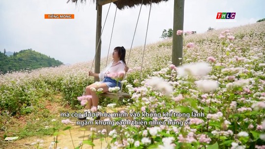 Thời sự (tiếng Mông) (15/5/2025)