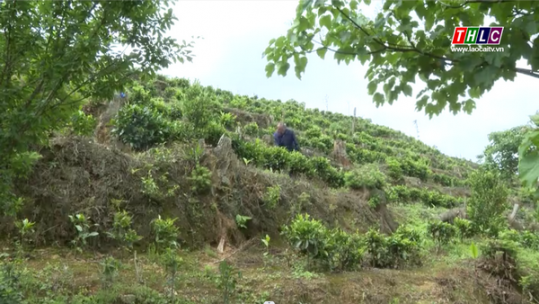 Đất thép nở hoa