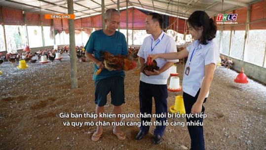 Nông nghiệp - Nông thôn (tiếng Dao): Nông nghiệp - Phát triển nông thôn (16/5/2025)