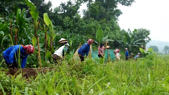 Hạt nhân của sự đoàn kết