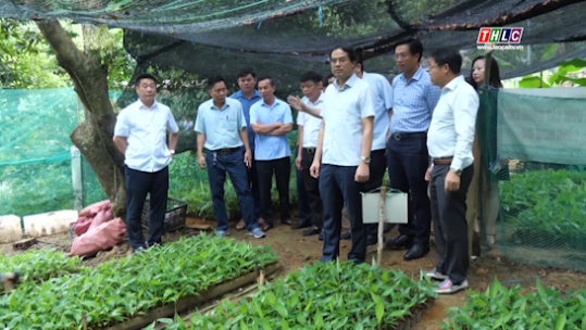 Lào Cai: Thành lập ban chỉ đạo phát triển khoa học công nghệ, đổi mới sáng tạo, chuyển đổi số và Đề án 06