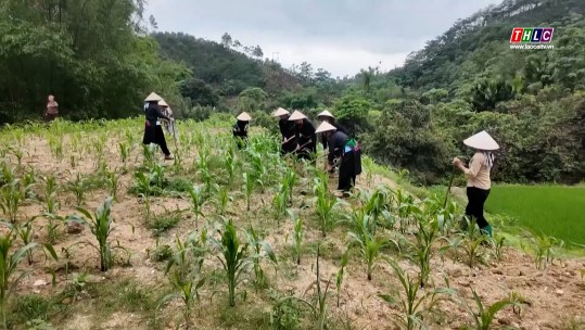Dân vận cùng nhau về thôn