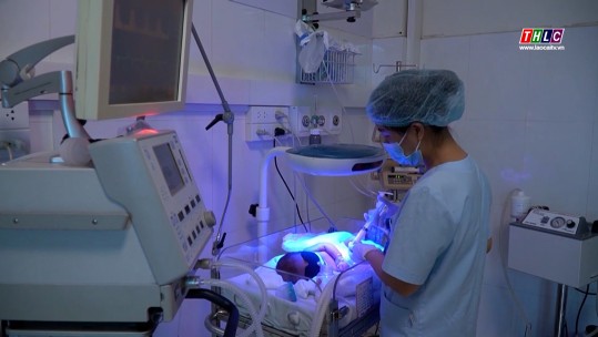 Khoảng 300 trẻ sinh non được chăm sóc bằng phương pháp Kangaroo mỗi năm