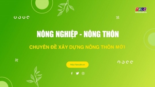 Nông nghiệp - Nông thôn: Xây dựng Nông thôn mới: Lào Cai phát triển bền vững sản phẩm OCOP (20/5/2025)