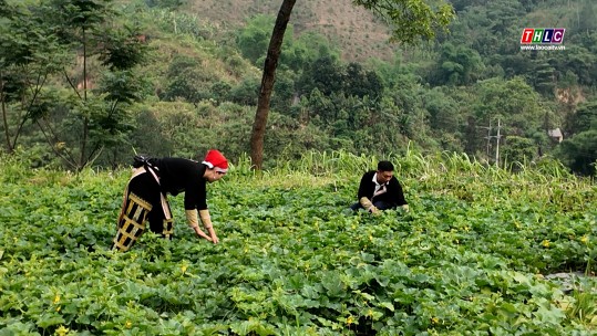Dân tộc & Phát triển (20/5/2025)