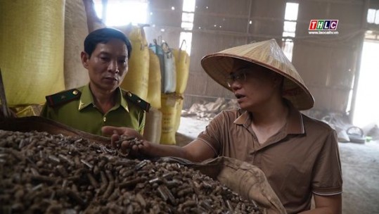 Biến phụ phẩm lâm sản thành viên nén xuất khẩu