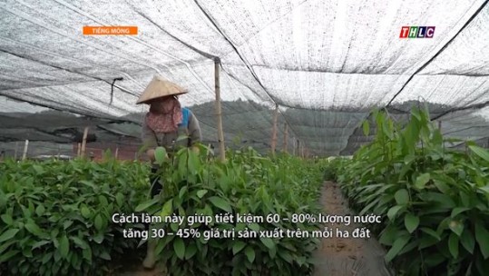 Thời sự tiếng Mông (22/5/2025)