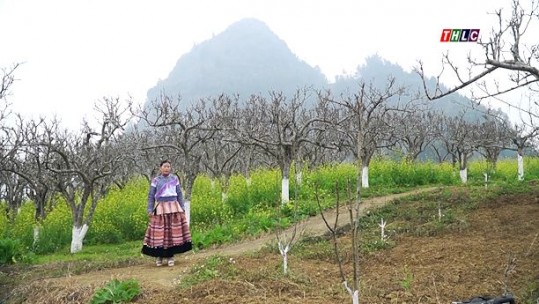 Ca nhạc tiếng Mông (22/5/2025)