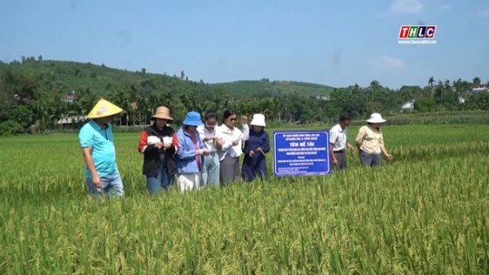 Thời sự Lào Cai 9h30 (22/5/2025)