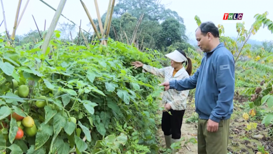 Đảng trong cuộc sống: Học & làm theo Bác (22/5/2025)