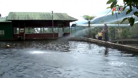 Toàn tỉnh có 545 tổ, hội nông dân nghề nghiệp