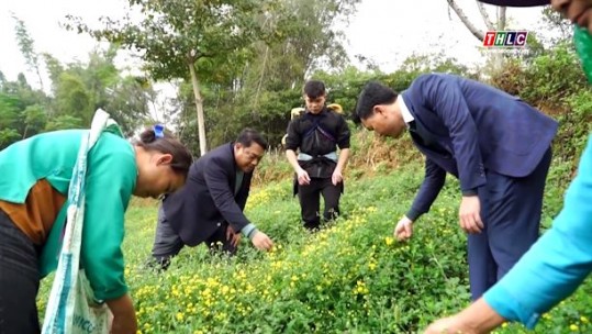 Si Ma Cai hoàn thành nhiều mục tiêu tăng trưởng