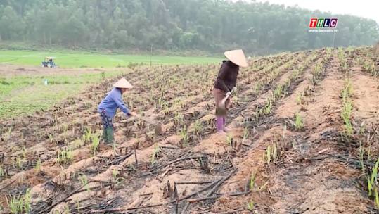 Tây Bắc chuyển động (24/5/2025)