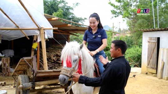 Trải nghiệm chăm sóc ngựa làm du lịch