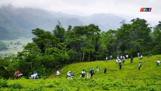 Trồng hơn 18.000 cây bản địa góp phần hồi sinh rừng Tây Bắc